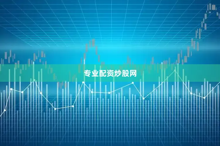 专业配资炒股网