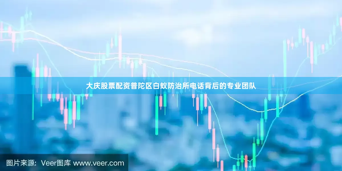 大庆股票配资普陀区白蚁防治所电话背后的专业团队