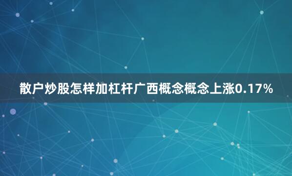散户炒股怎样加杠杆广西概念概念上涨0.17%