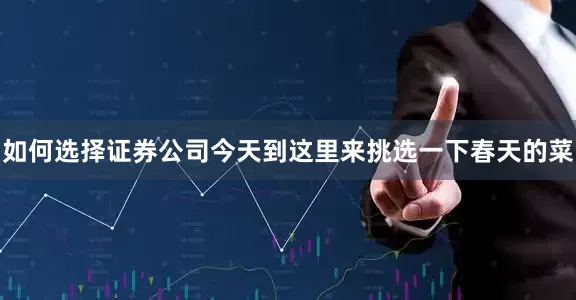 如何选择证券公司今天到这里来挑选一下春天的菜