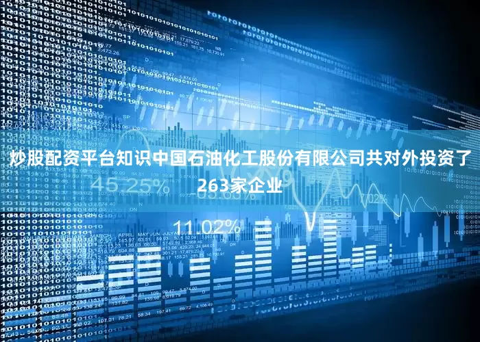 炒股配资平台知识中国石油化工股份有限公司共对外投资了263家企业